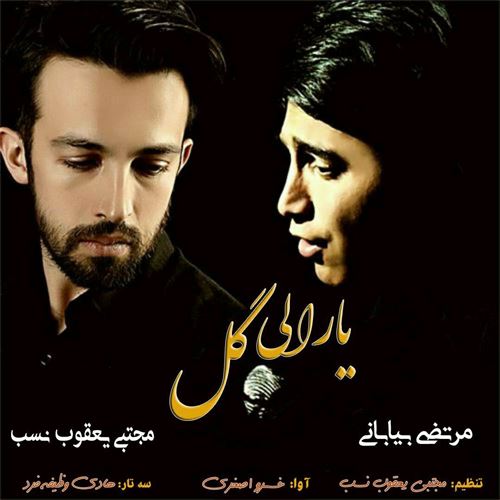 مجتبی یعقوب نسب و مرتضی بیابانی یارال گل